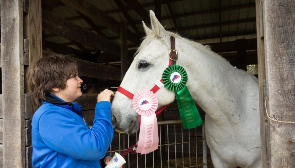 MOC Pony Club member petting nose of white horse with ribbons on bridal.